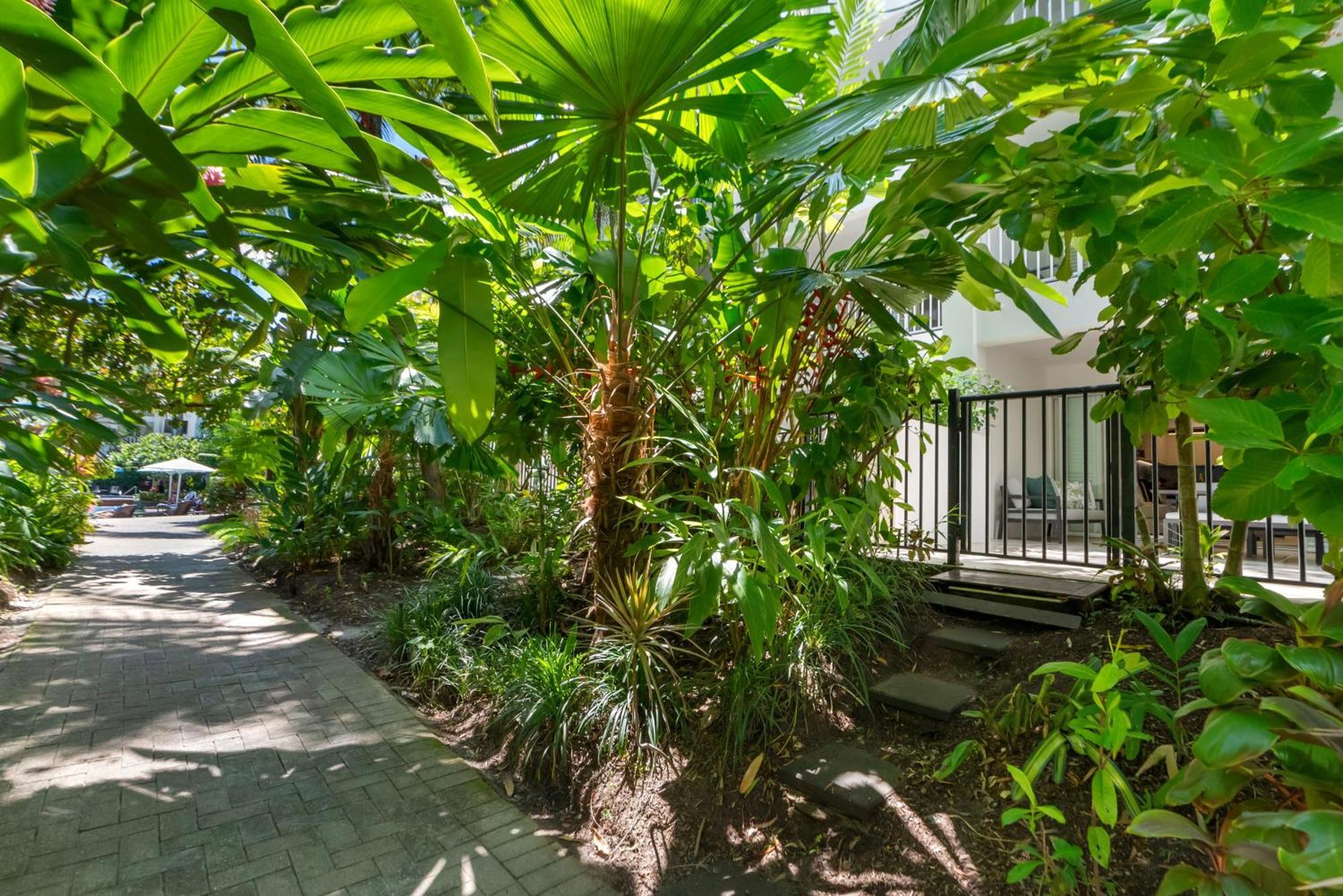 Elysium Private Apartments At Beach Club & Spa Palm Cove Esterno foto